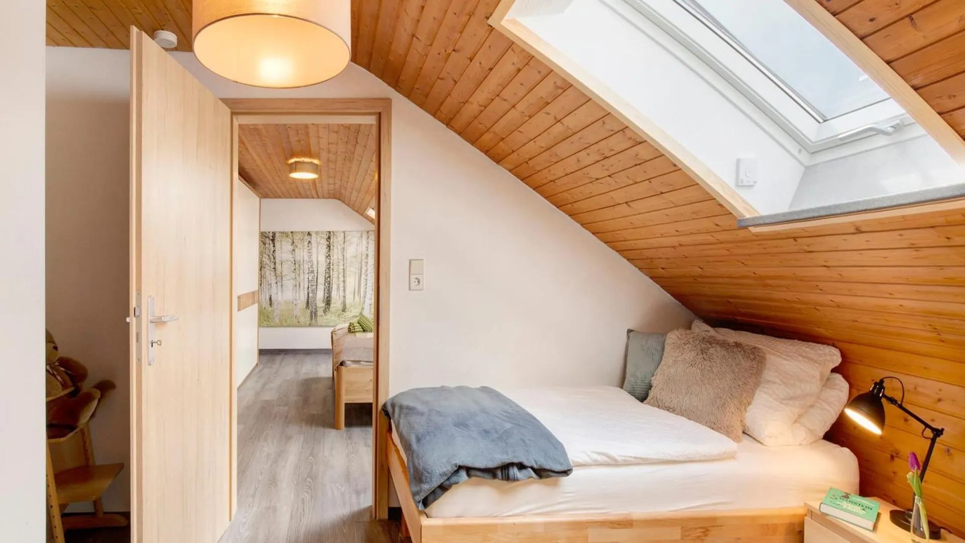 Apartment Ferienwohnung Friedmann Offingen
